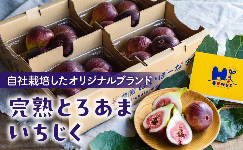 美味しい無花果をお届けするために こだわりの土壌にて栽培。