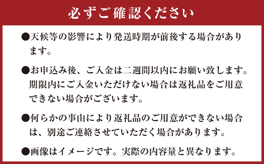 ひとさじでおうちごはんを整える発酵調味料・玉ねぎ麹 （1個）