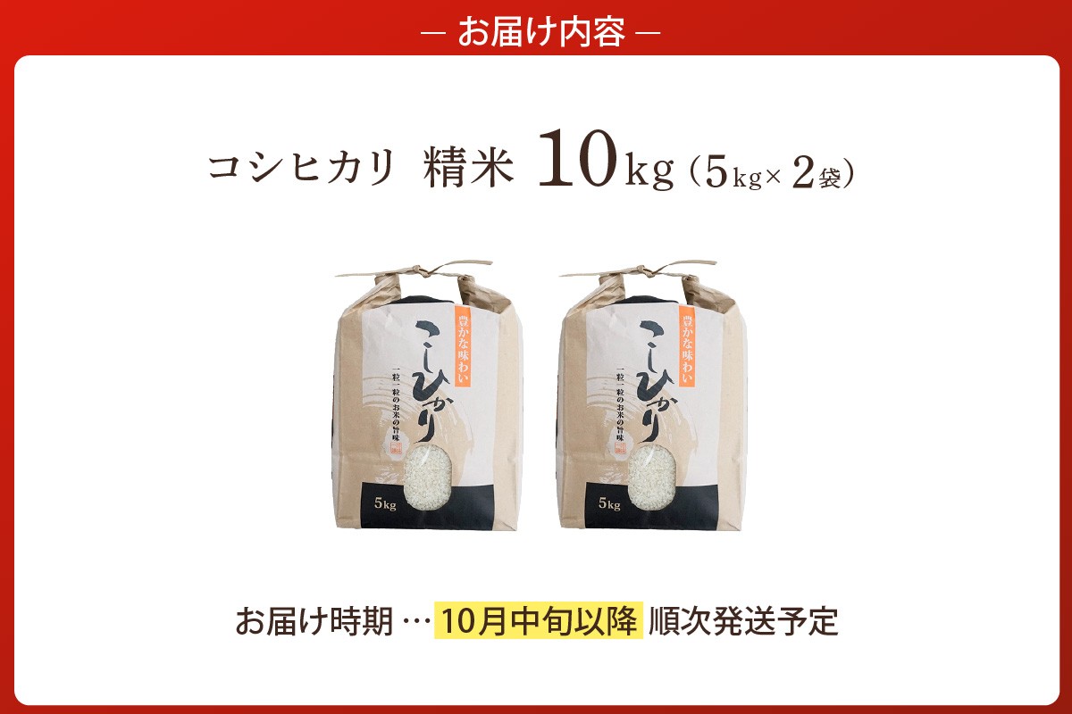 【令和7年度産】香美町産 コシヒカリ 精米 10kg（5kg×2袋）