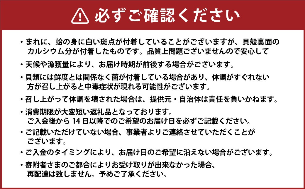 【特大】桑名産蛤（ハマグリ） 5.0kg