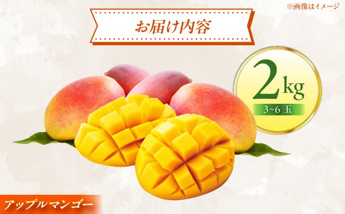 【 先行予約 2026年発送 】【贈答用】仲村農園の完熟アップルマンゴー2kg  マンゴー 沖縄 マンゴー 先行予約 