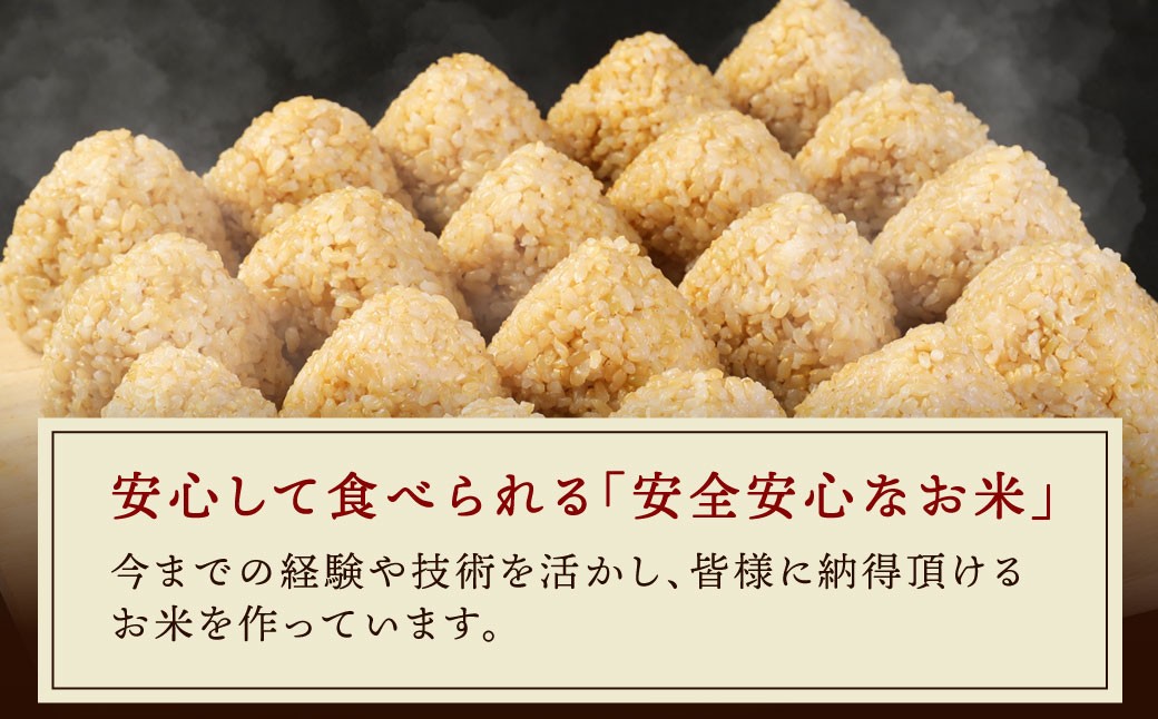 【12ヶ月定期便】阿蘇だわら（玄米）10kg（2kg×5） 熊本県 高森町 オリジナル米