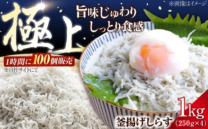 冷凍 釜揚げしらす 小分け 1kg