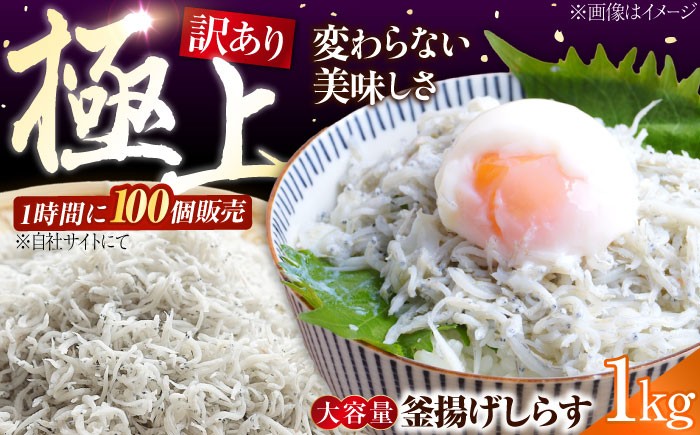 しらす 冷凍 シラス 小分け パック 釜揚げ 冷凍 魚介類 鮮魚 海鮮 海産物