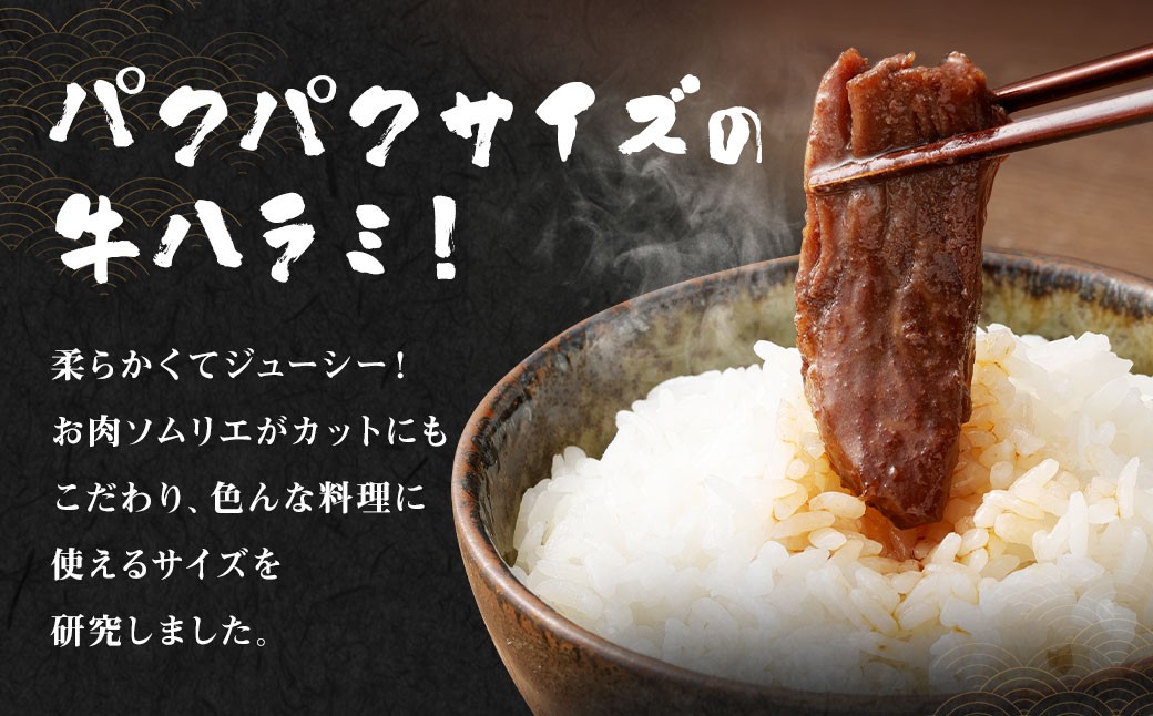 【訳あり】パク旨牛ハラミ 特選タレ漬け 300g