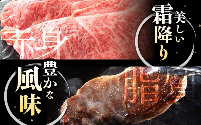 ランプ ステーキ 450g