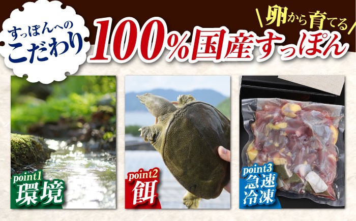 すっぽん すっぽん鍋 スッポン コラーゲン セット 珍味 海鮮 魚介類 冷蔵 鍋 なべ 唐揚げ スープ 美容 健康 高級 人気