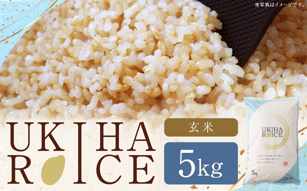 みずほファーム UKIHA RICE 玄米5kg 