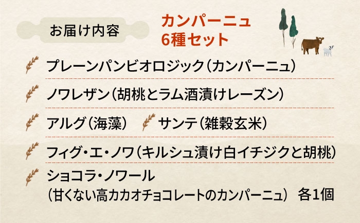 パン 詰め合わせ 菓子パン 国産 小麦 ハード系 冷凍 カンパーニュ トースト