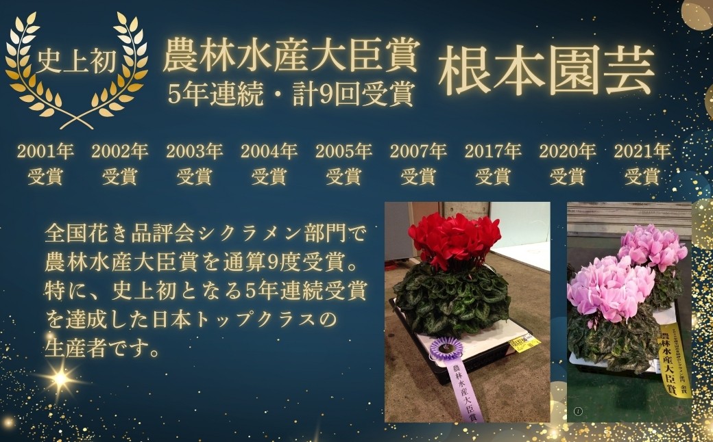【先行予約】シクラメン ラピスラズリ 5号鉢 | 花 お花 ギフト フラワーギフト 根本園芸