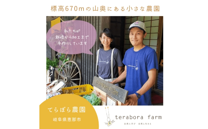 生姜シロップ ジンジャーシロップ しょうが ショウガ 生姜 ジンジャー シロップ 贈答 ギフト おすすめ 人気 岐阜県 恵那市