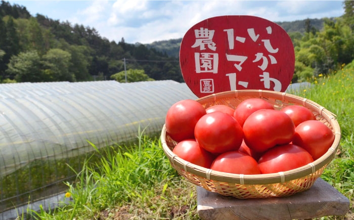 トマトソース パスタソース ピザソース トマトケチャップ いちごジャム ジャム 贈答 ギフト おすすめ 人気 岐阜県 恵那市