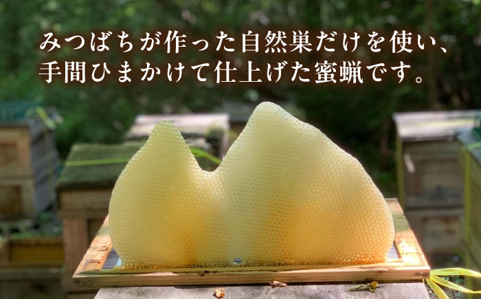 蜜蝋 国産 ロウ ハンドメイド 化粧品 キャンドル ワックス セット 産地直送 贈答 ギフト おすすめ 人気 岐阜県 恵那市