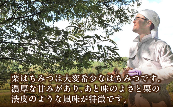 はちみつ 栗蜂蜜 国産 蜂蜜 ハチミツ ギフト箱入り セット 産地直送 国産蜂蜜 贈答 ギフト おすすめ 人気 岐阜県 恵那市
