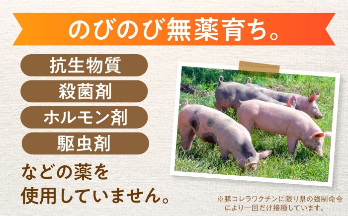 のびのび無薬育ちのあんしん豚。抗生物質やホルモン剤を使わず、草原で健康に育つ豚たち。