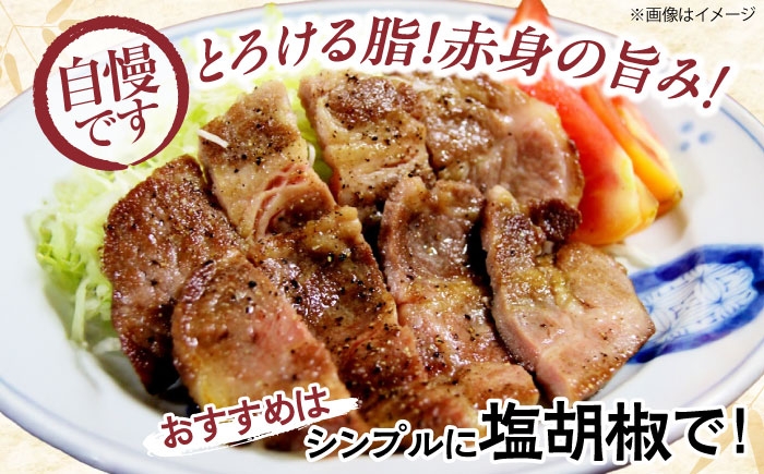 「瀬戸のもち豚せと姫」ステーキセット約900g
