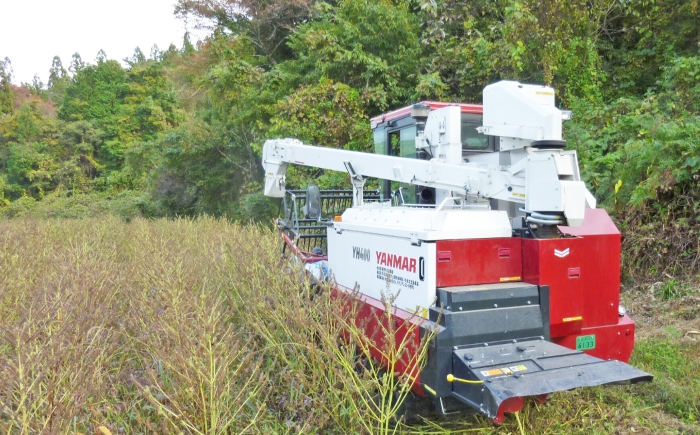 えごま油 油 あぶら オイル エゴマ油 えごま エゴマ えごまオイル 調味料 贈答 ギフト おすすめ 人気 岐阜県 恵那市