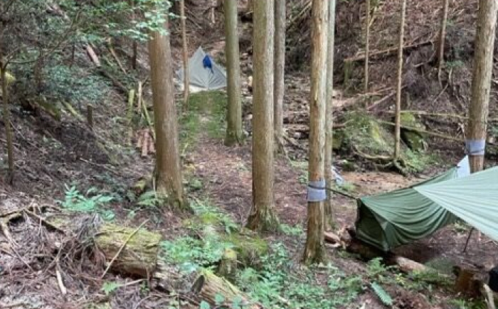 キャンプ場 利用券 しらたか オートキャンプ場 アウトドア チケット 旅行 自然 贈答 ギフト おすすめ 人気 岐阜県 恵那市