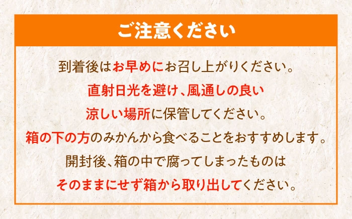 みかん ミカン 蜜柑 温州ミカン 温州みかん 果物 くだもの フルーツ 産地直送 おすすめ 人気 お取り寄せ 贈答 ギフト