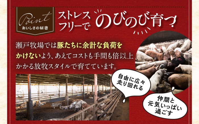 「瀬戸のもち豚せと姫」焼肉セット約700g
