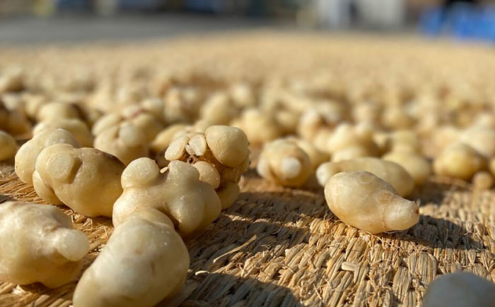 漬物 味噌漬け 味噌 菊芋 3種 食べ比べ セット おにぎり お茶漬け おつまみ 贈答 ギフト おすすめ 人気 岐阜県 恵那市