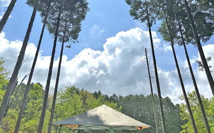 はちみつ 栗蜂蜜 国産 蜂蜜 ハチミツ ギフト箱入り セット 産地直送 国産蜂蜜 贈答 ギフト おすすめ 人気 岐阜県 恵那市