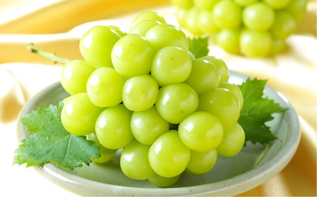 シャインマスカット晴王 約600g×1房