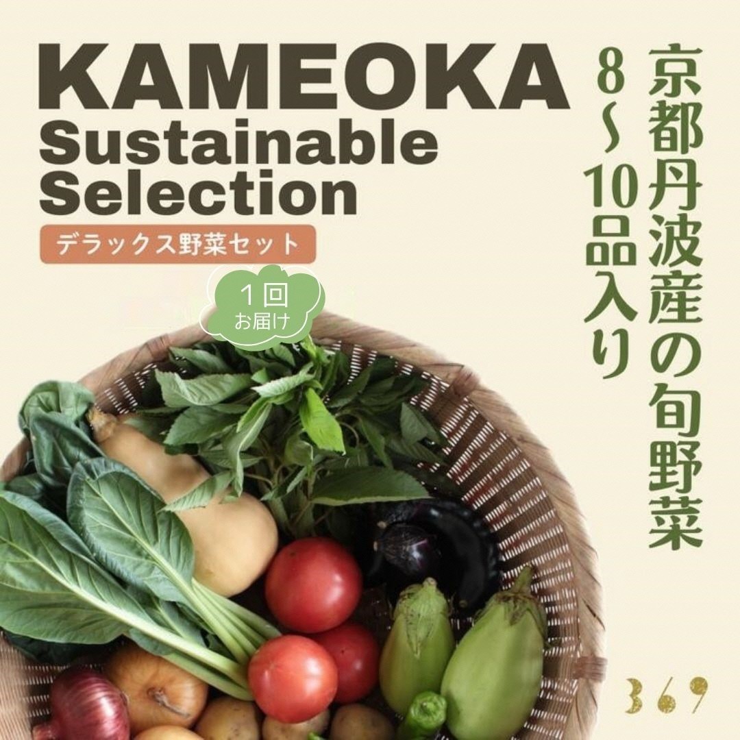 【定期便】京都丹波産【栽培期間中農薬・化学肥料不使用】野菜セット【デラックス】