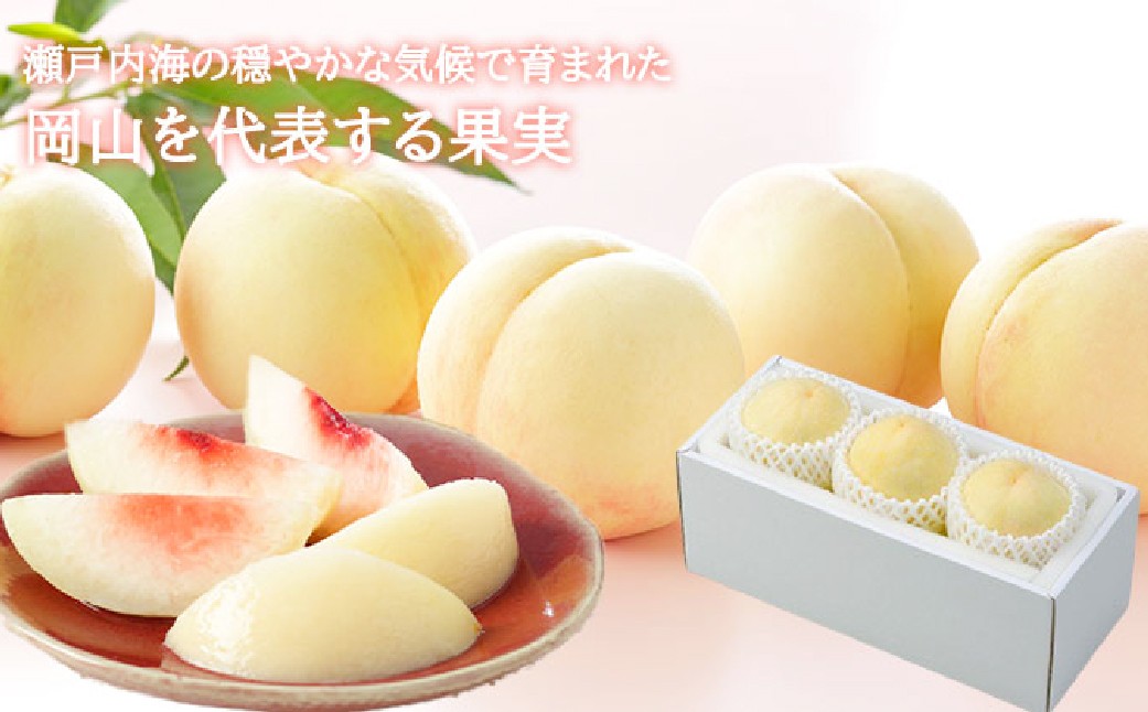 岡山白桃 エース3玉×約200g 計約600g