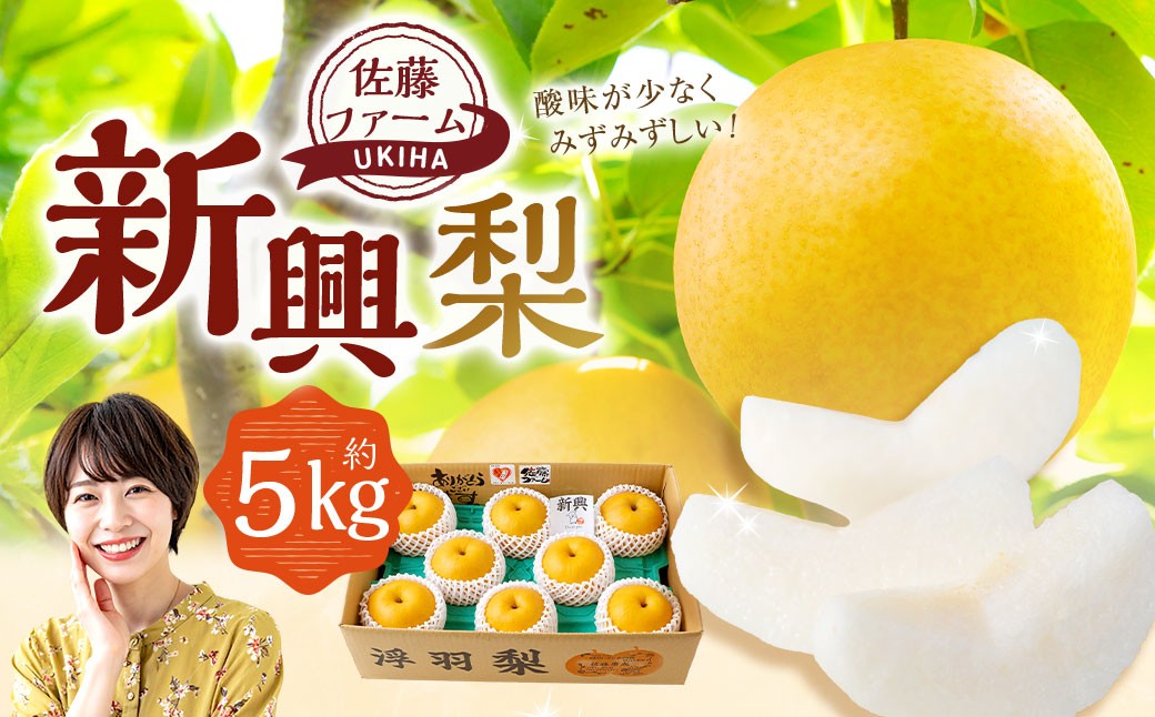 新興梨 8玉～12玉 （約5kg）