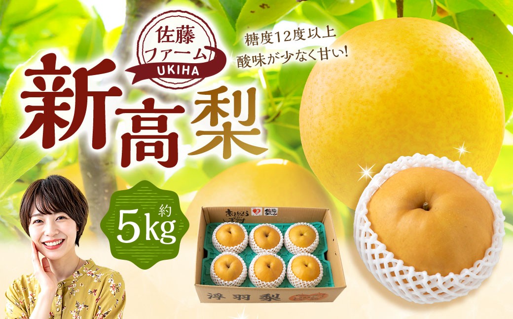 新高梨 5玉～8玉 （約5kg）