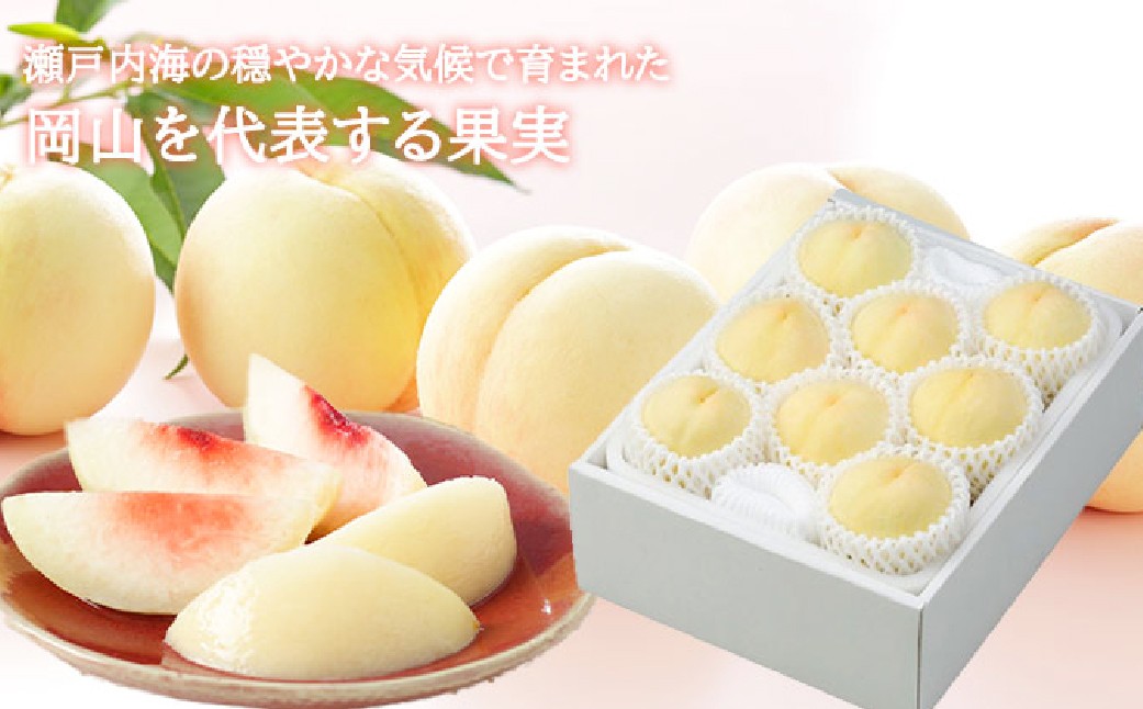岡山白桃 エース 5～10玉 約2kg