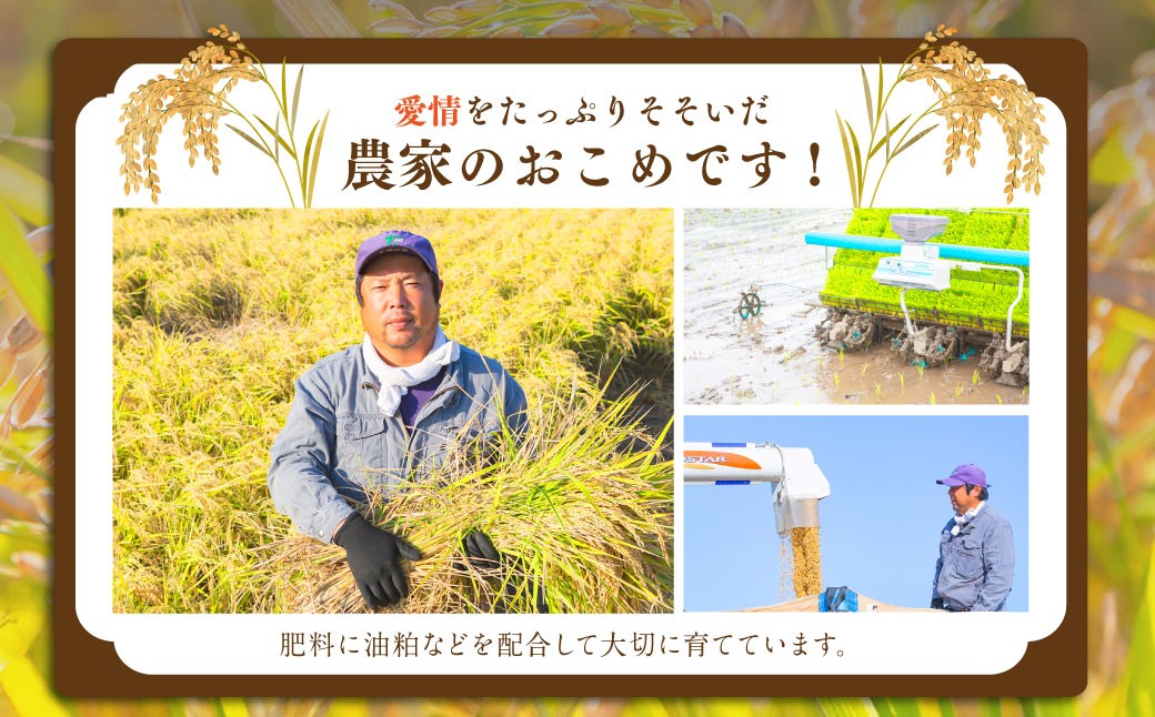 【6ヶ月定期便】日永園 ヒノヒカリ 白米10kg×6ヶ月