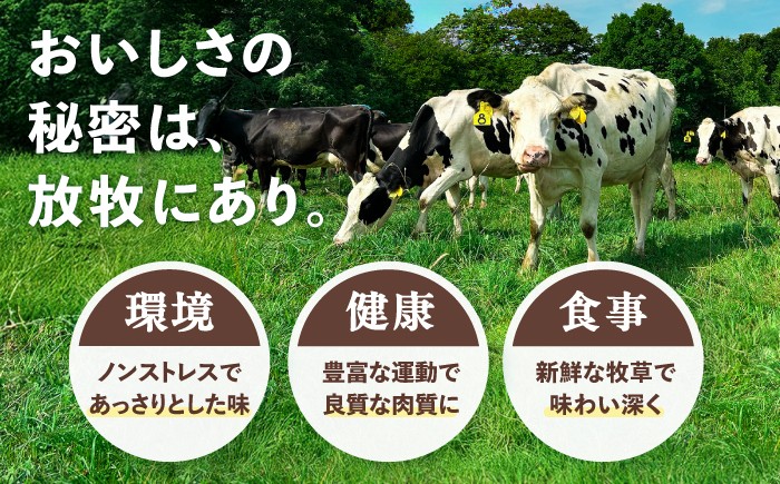 牛肉 ビーフ 肉 ミート 牛 焼肉 ギフト 北海道産 北海道