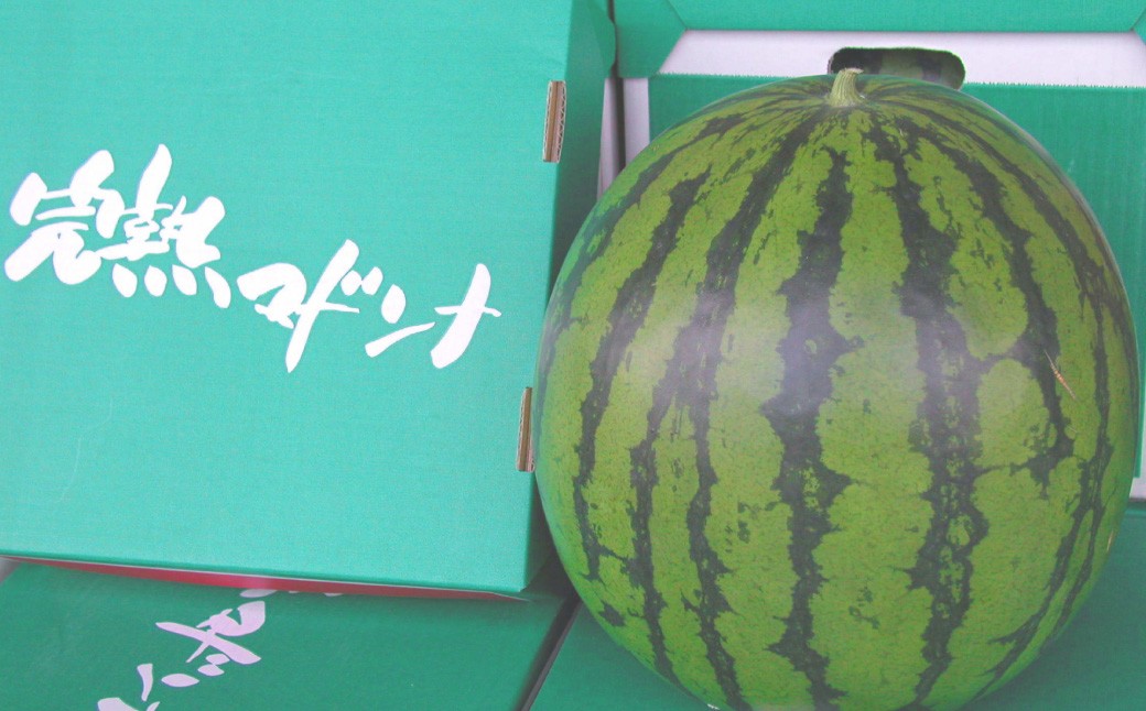 マドンナスイカ  1玉