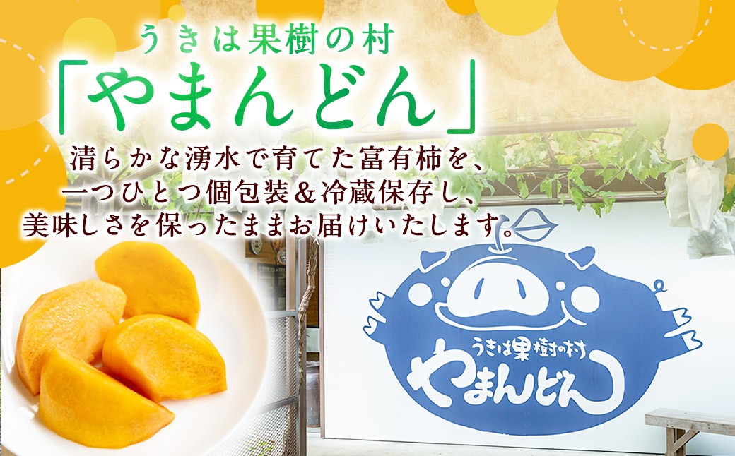 【先行予約】やまんどん 冷蔵富有柿 2Lサイズ 10玉前後