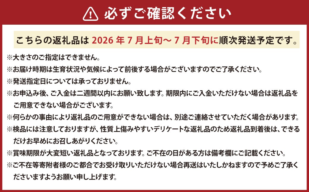レッドメロン 5~6玉 (1玉 約1.6kg)