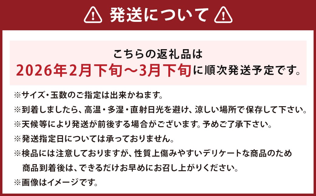 【数量限定】長崎県 時津町産 あすみ 約3kg