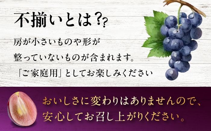 訳あり 不揃い 家庭用 種なし ぶどう ピオーネ フルーツ 果物 種無し ブドウ 葡萄 三次 広島