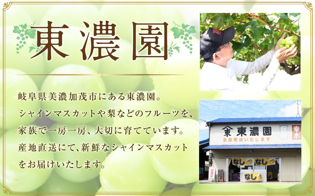 東濃園の甘熟 クール配送 シャインマスカット 1.0kg以上 2房