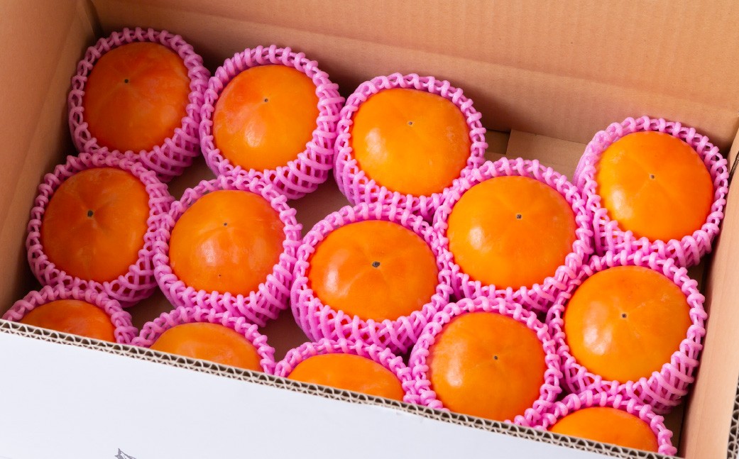 【先行予約】西見柿農園 富有柿 9玉から11玉