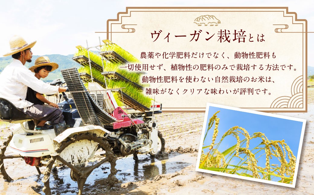 自然栽培 ひのひかり 玄米 10kg