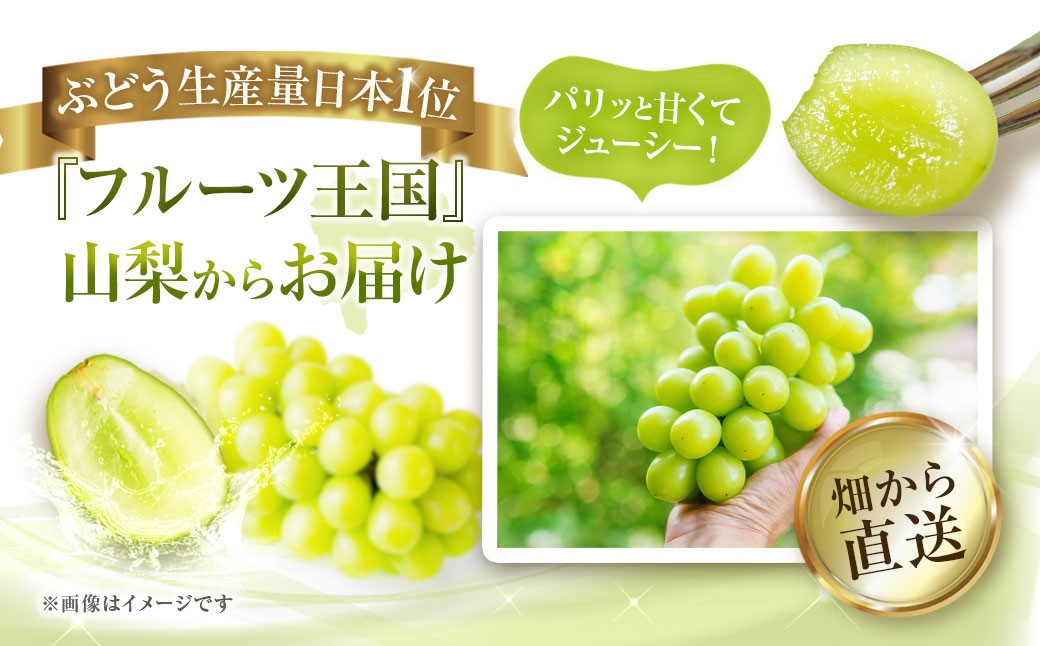 シャインマスカット 1房 500g以上