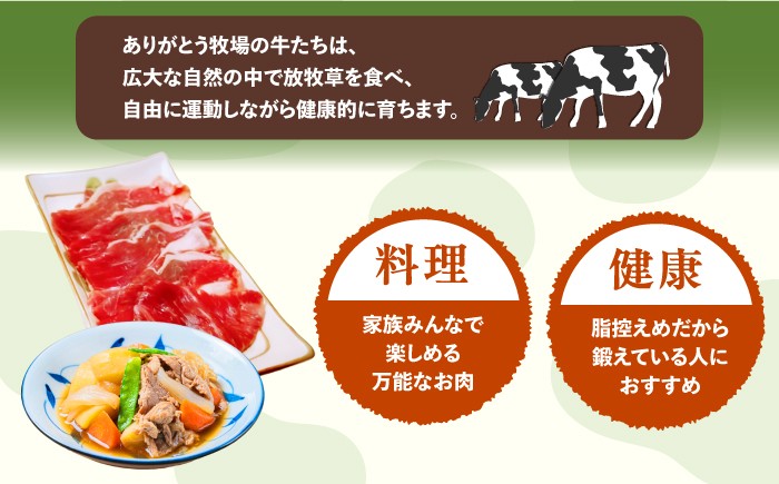 牛肉 ビーフ 肉 ミート 牛 焼肉 ギフト 北海道産 北海道