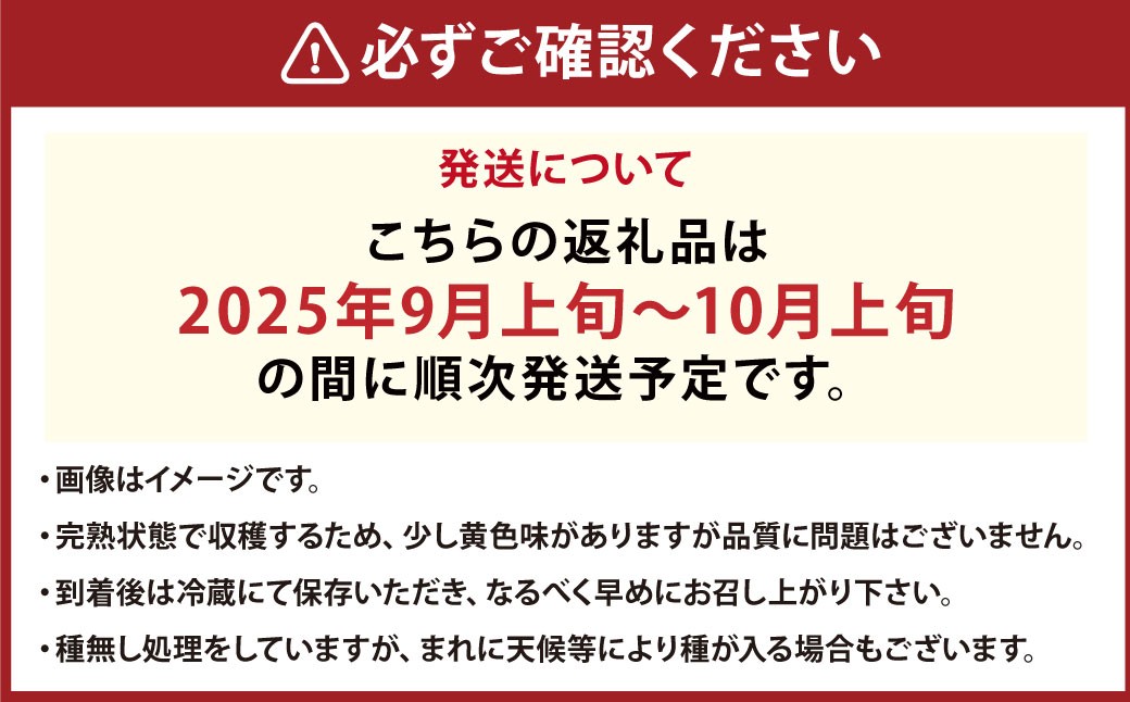 東濃園の甘熟 クール配送 シャインマスカット 1.0kg以上 2房