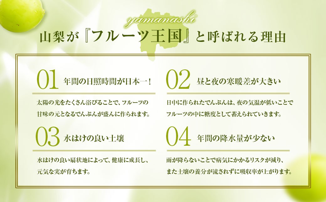 山梨県産 シャインマスカット 1kg以上