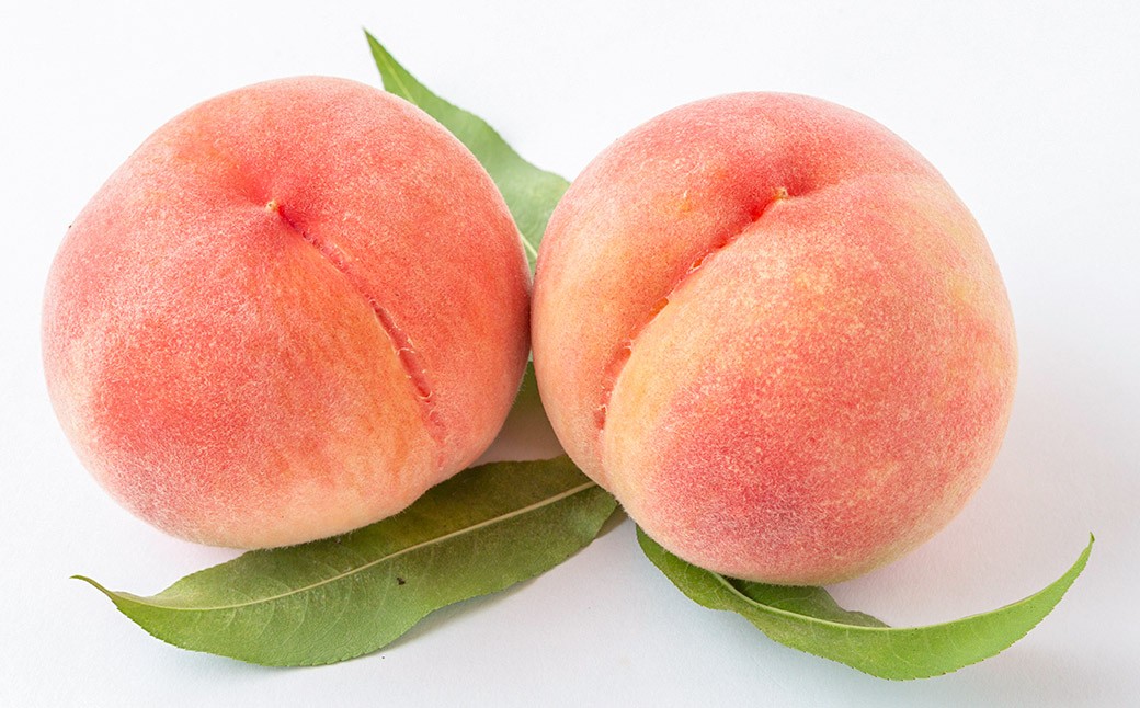 【先行予約】 道の駅うきは 桃 6玉から7玉 （約2kg）