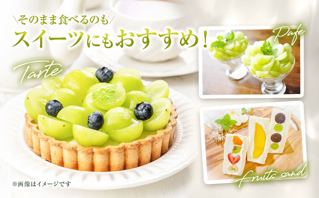 シャインマスカット 1房 500g以上