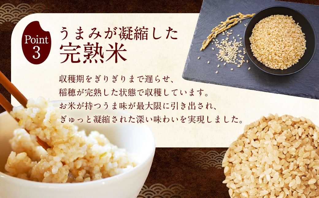 自然栽培 ひのひかり 玄米 10kg