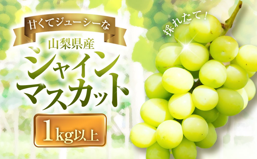 山梨県産 シャインマスカット 1kg以上
